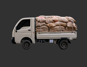 ACE GOLD CNG 2.0