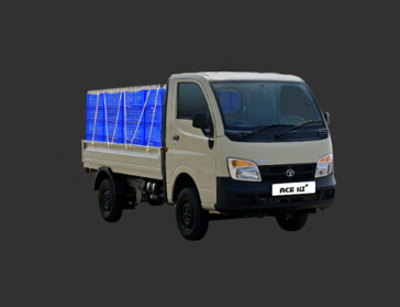 ACE GOLD CNG +