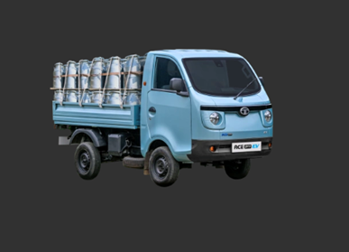 ACE PRO Bi-Fuel