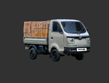 ACE PRO PETROL