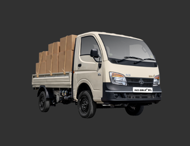 ACE GOLD Commercial Mini Truck